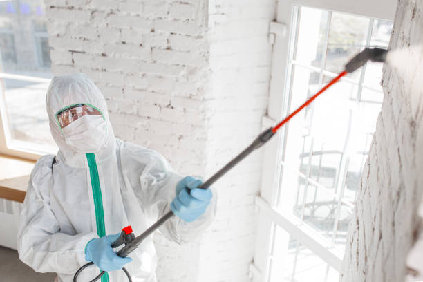 Reliable Whitefish, MT Mold Removal Solutions