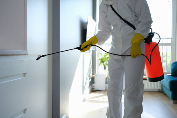 Best Air Quality Testing for Mold Spores  in Whitefish, MT