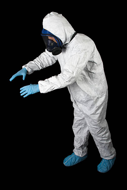 Best Black Mold Removal  in Whitefish, MT